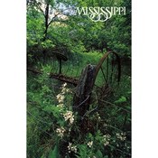 Mississippi Postcard Ms335 Nostalgic Scene