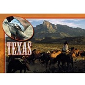 Texas Postcard Tx129 Lone Star State
