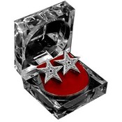 Rock Star Earrings