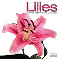 Lilies 2010 Calendar 30289-10