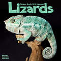 Lizards 2010 Calendar 30111-10