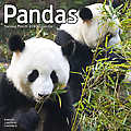 Pandas 2010 Calendar 30117-10