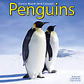 Penguins 2010 Calendar 30139-10