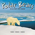 Polar Bears 2010 Calendar 30126-10