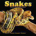 Snakes 2010 Calendar 30120-10