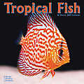 Tropical Fish 2010 Calendar 30448-10