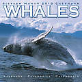 Whales 2010 Calendar 30108-10