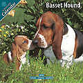 Basset Hound 2010 Calendar 10011-10