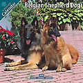 Belgian Shepherd Dog 2010 Calendar 10112-10