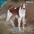 Borzoi 2010 Calendar 10082-10