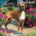 Boxer (Euro) 2010 Calendar 10022-10