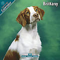 Brittany 2010 Calendar 10083-10