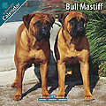 Bull Mastiff 2010 Calendar 10113-10
