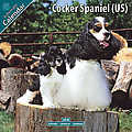 Cocker Spaniel (US) 2010 Calendar 10093-10
