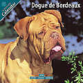 Dogue De Bordeaux 2010 Calendar 10096-10