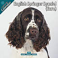 English Springer Spaniel (Euro) 2010 Calendar 1003