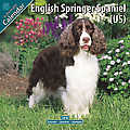 English Springer Spaniel (US) 2010 Calendar 10111-