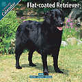 Flat Coated Retriever 2010 Calendar 10092-10