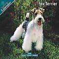 Fox Terrier 2010 Calendar 10037-10