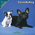 French Bulldog 2010 Calendar 10038-10