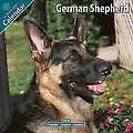 German Shepherd 2010 Calendar 10039-10