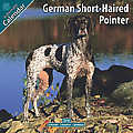 German ShortHair Polinter 2010 Calendar 10040-10