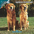 Golden Retriever 2010 Calendar 10041-10