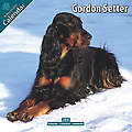 Gordon Setter 2010 Calendar 10114-10