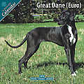 Great Dane (Euro) 2010 Calendar 10043-10