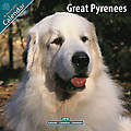 Great Pyrenees 2010 Calendar 10044-10