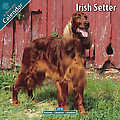 Irish Setter 2010 Calendar 10046-10