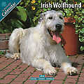 Irish Wolfhound 2010 Calendar 10047-10