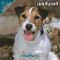 Jack Russell 2010 Calendar 10048-10