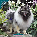 Keeshond 2010 Calendar 10049-10