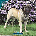 Mastiff 2010 Calendar 10053-10