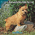Norwich/Norfolk Terrier 2010 Calendar 10115-10