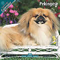 Pekingese 2010 Calendar 10059-10