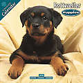 Rottweiler Puppies 2010 Calendar 10207-10