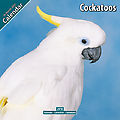Cockatoos 2010 Calendar 11086-10