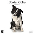 Border Collies 2010 Calendar 30451