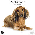 Dachshunds 2010 Calendar 30459