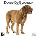 Dogue De Bordeaux 2010 Calendar 30460