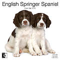 English Springer Spaniel 2010 Calendar 30462