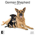 German Shepherds 2010 Calendar 30463