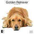 Golden Retrievers 2010 Calendar 30464