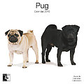Pugs 2010 Calendar 30469