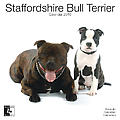 Staffordshire Bull Terrier 2010 Calendar #30473