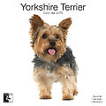 Yorkshire Terriers 2010 Calendar 30476