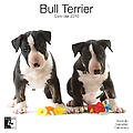 Bull Terrier 2010 Calendar 30455