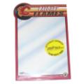 Calgary Flames Team Note Pads